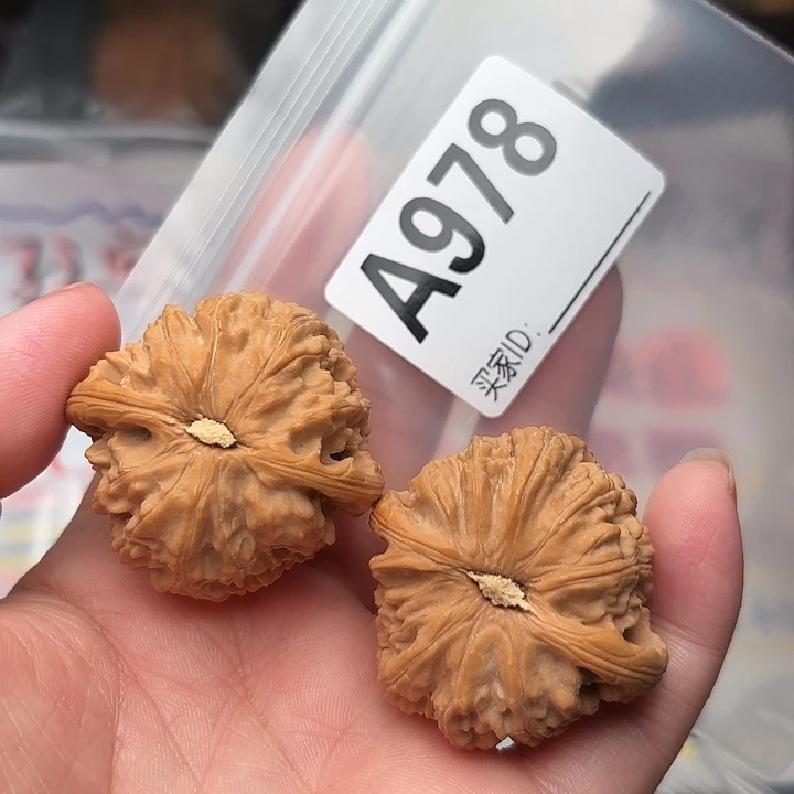 桃核把件核桃白狮子38