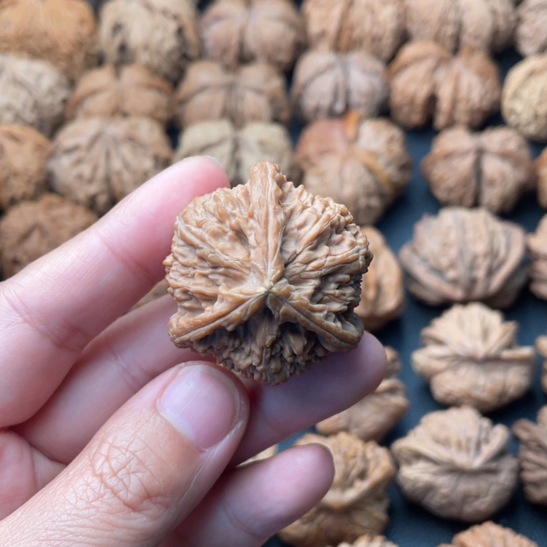 把件文玩核桃38白狮子三棱