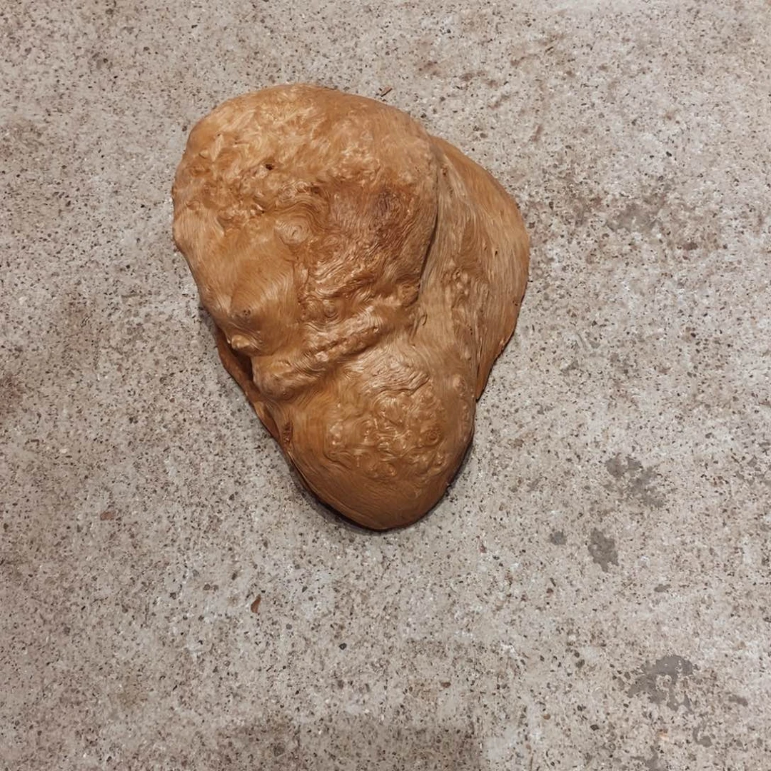 随***匠荔枝木随形木材一个