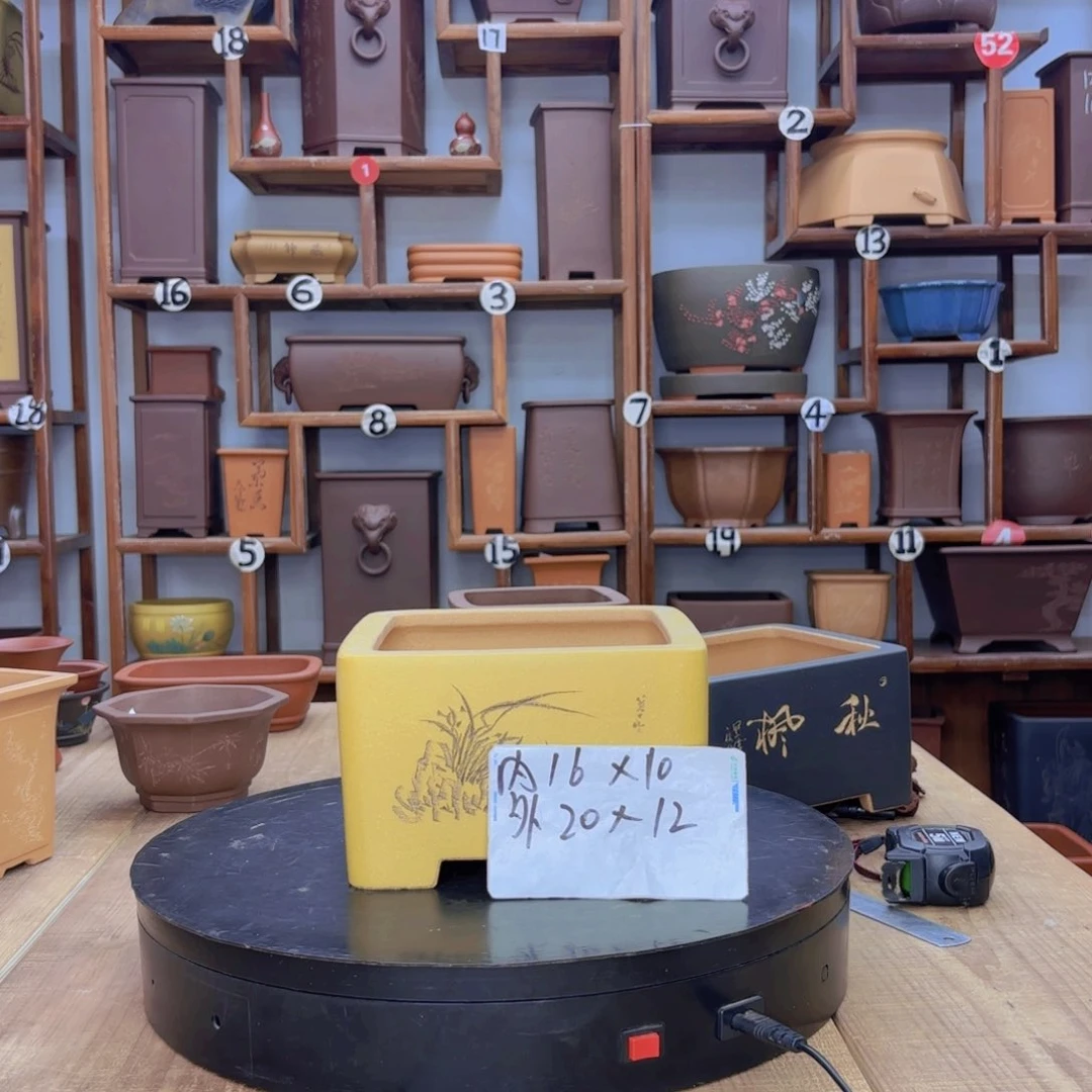 紫砂花盆荆**年福利秒杀