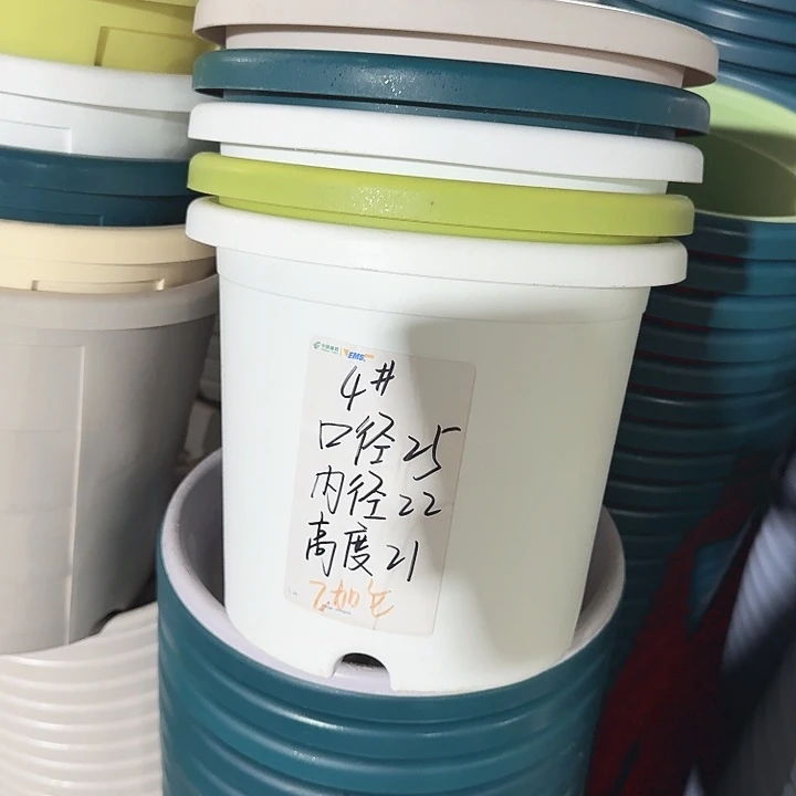 四季4#白色8个无托口径25