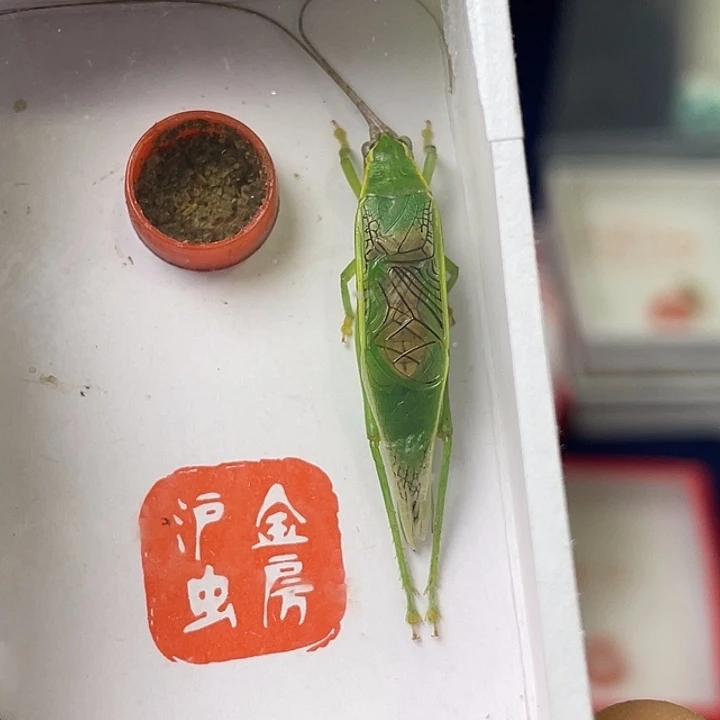 搞***叁哈哈哈哈哈哈哈哈