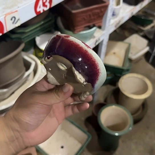 这就是为什么不可以说呢啊这就