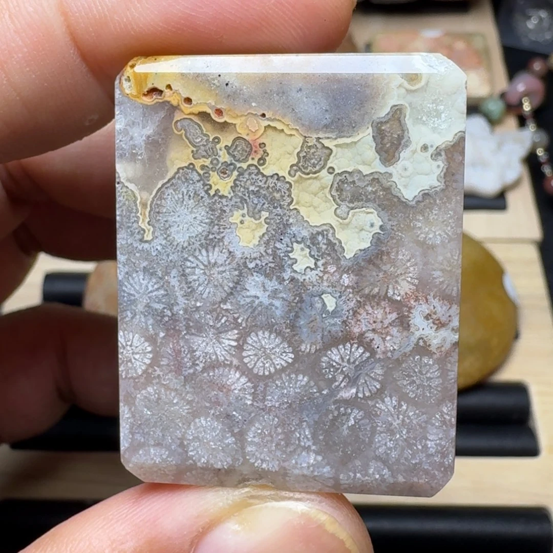 未镶嵌纯天然色有机玉石保真色硅化玉