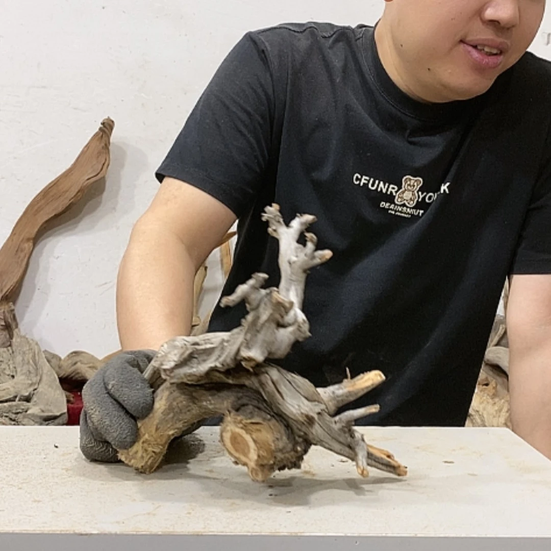 【闪购商品】柏木三*我们都是好孩子