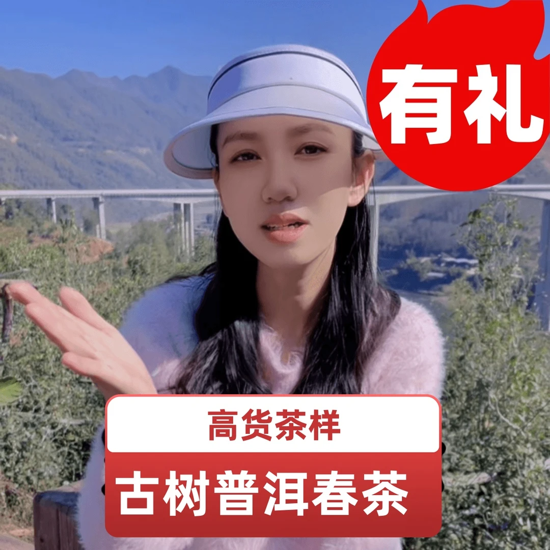【临时B】昔归古树巧克力普洱生茶