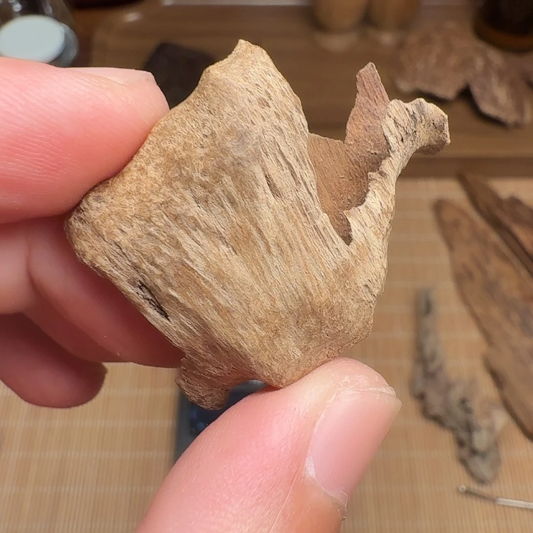 沉香海南死鸡仔1.33g