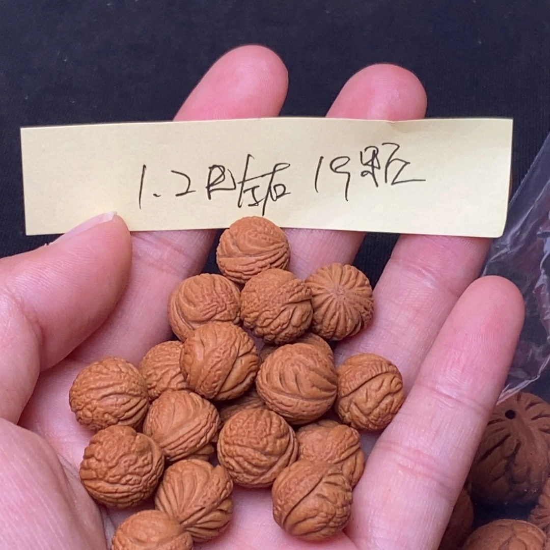 桃核手串秦岭龙纹桃核3