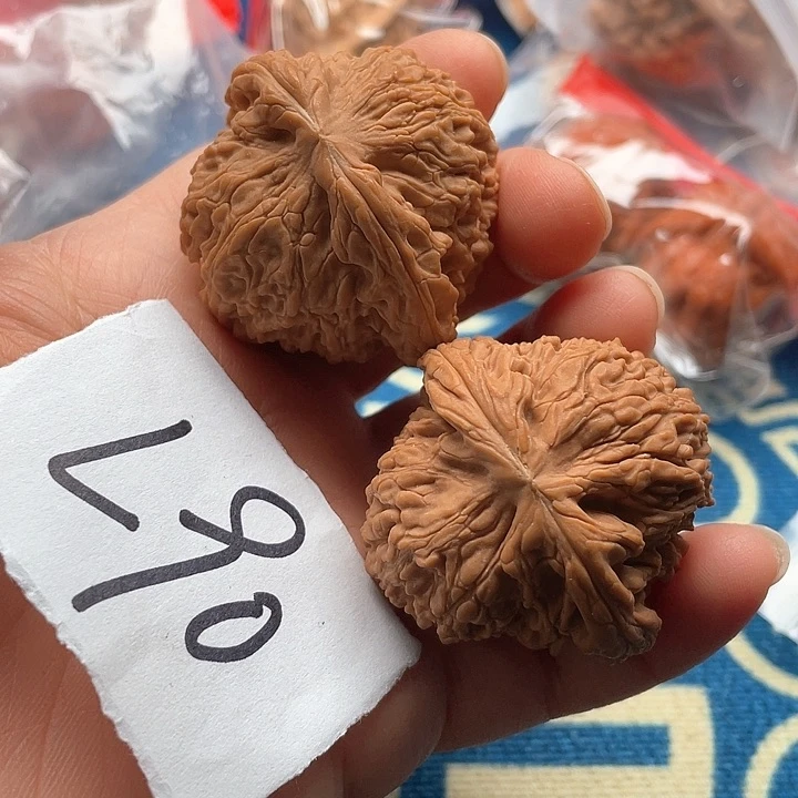 文玩核桃把件白狮