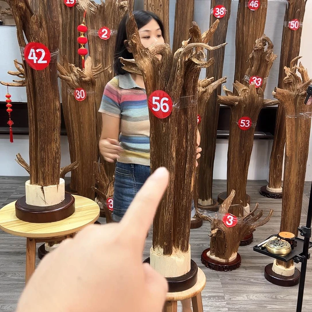 沉香沉香碎屑良*碎屑