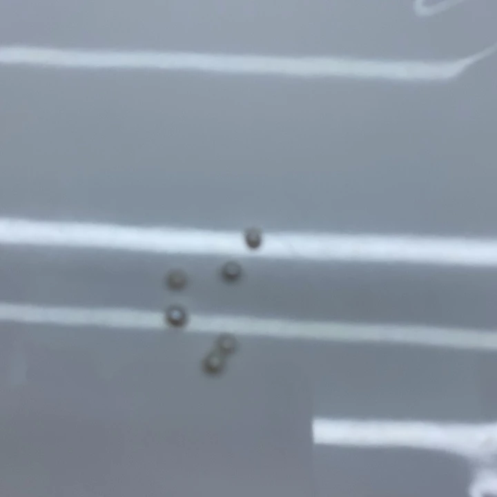 淡水珍珠吊坠(不含链)合金