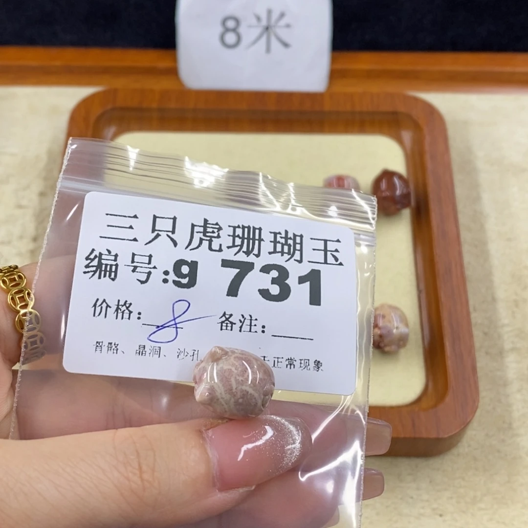 硅化珊瑚（珊瑚玉）未镶嵌1白*
