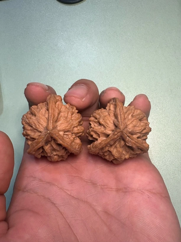 全品无修盘山三棱，转圈38！！