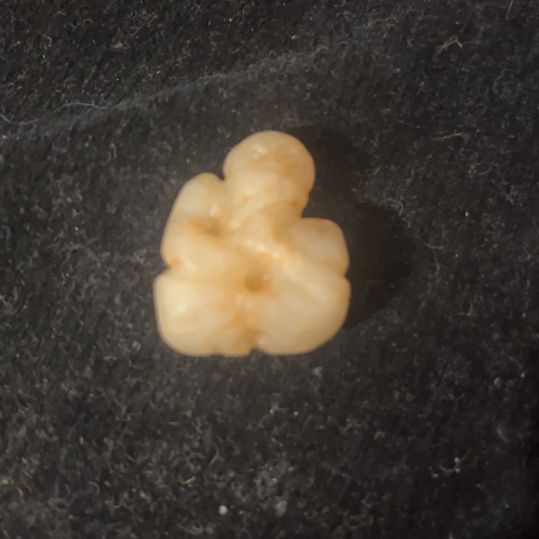 缸bv v b b b vvvvvvv