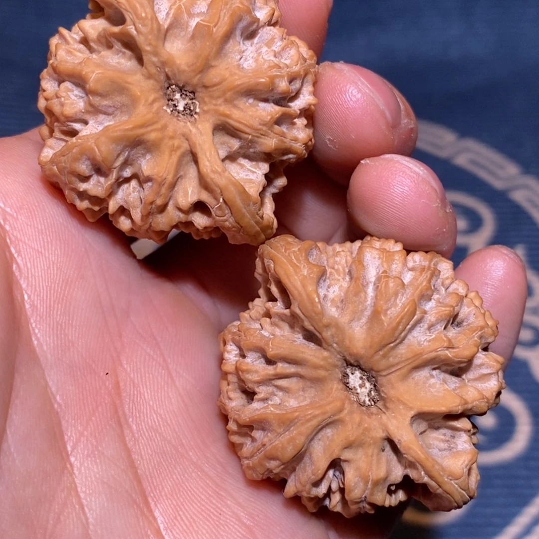 43尺 全品无修白茬    苹果园