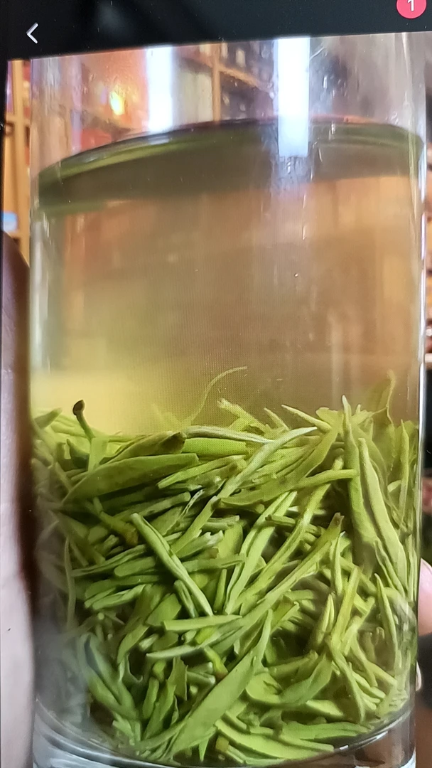 2025保康毛尖明前嫩芽高山云雾茶鲜爽回甘茶叶7号