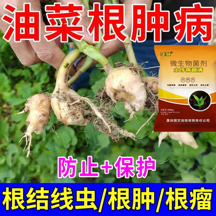 油菜根肿病专用肥料白菜根肿病蔬菜根肿病大根病根瘤病蔬菜专用肥