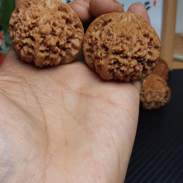 大***阳大叶紫檀（黑酸枝木类）满天星