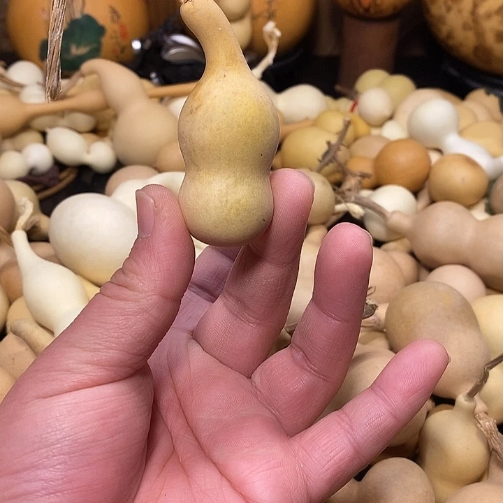 展***哥精品葫芦手把葫芦58