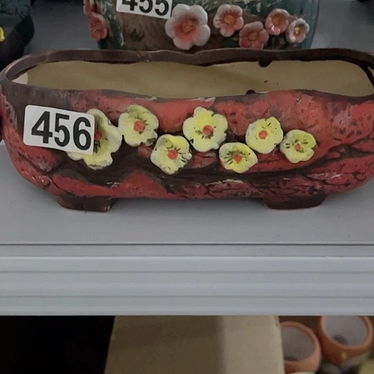 多肉植物花盆花盆