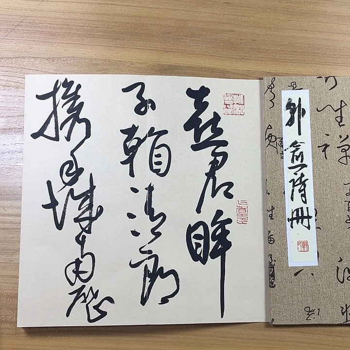书法中书协会员作品