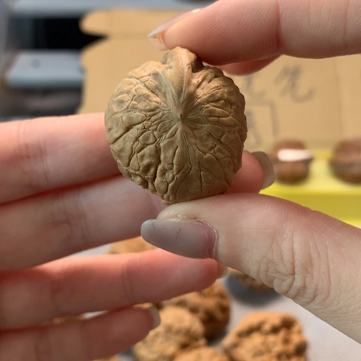 ****文玩核桃把件异形单只