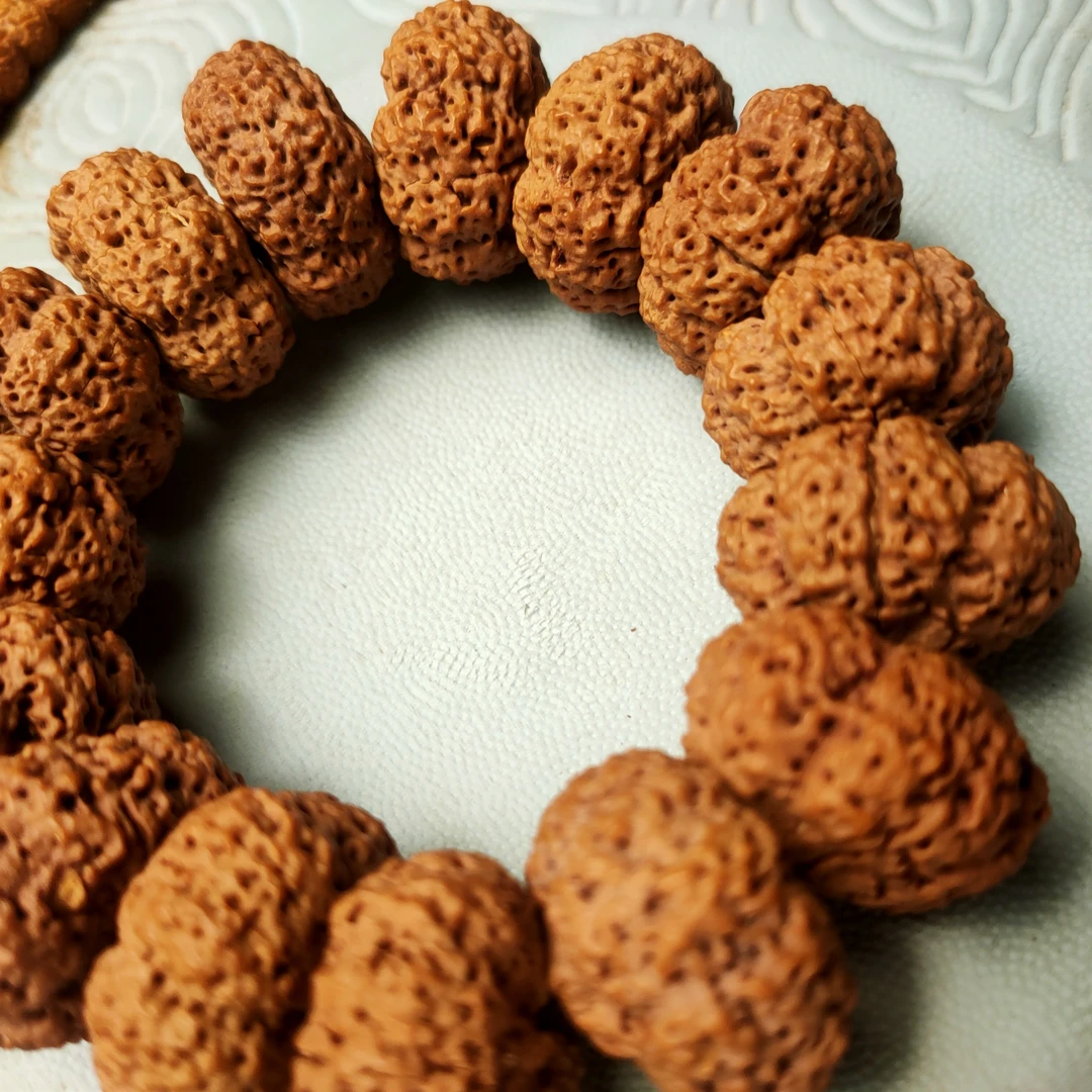 尼泊尔大金刚甲板菠萝蜜2.5左右一物一图