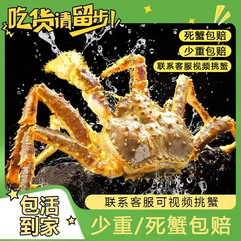 [包活]帝王蟹3.25-3.75斤/只 适合3-4人家庭朋友聚餐巴伦支海帝王蟹俄罗斯进口帝王蟹海鲜生日聚会团建送礼