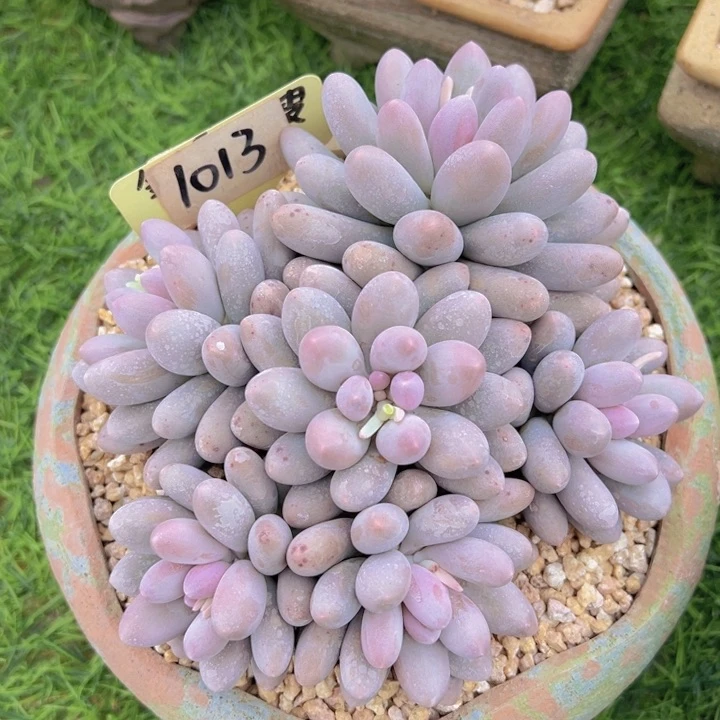 健健康康平平安安