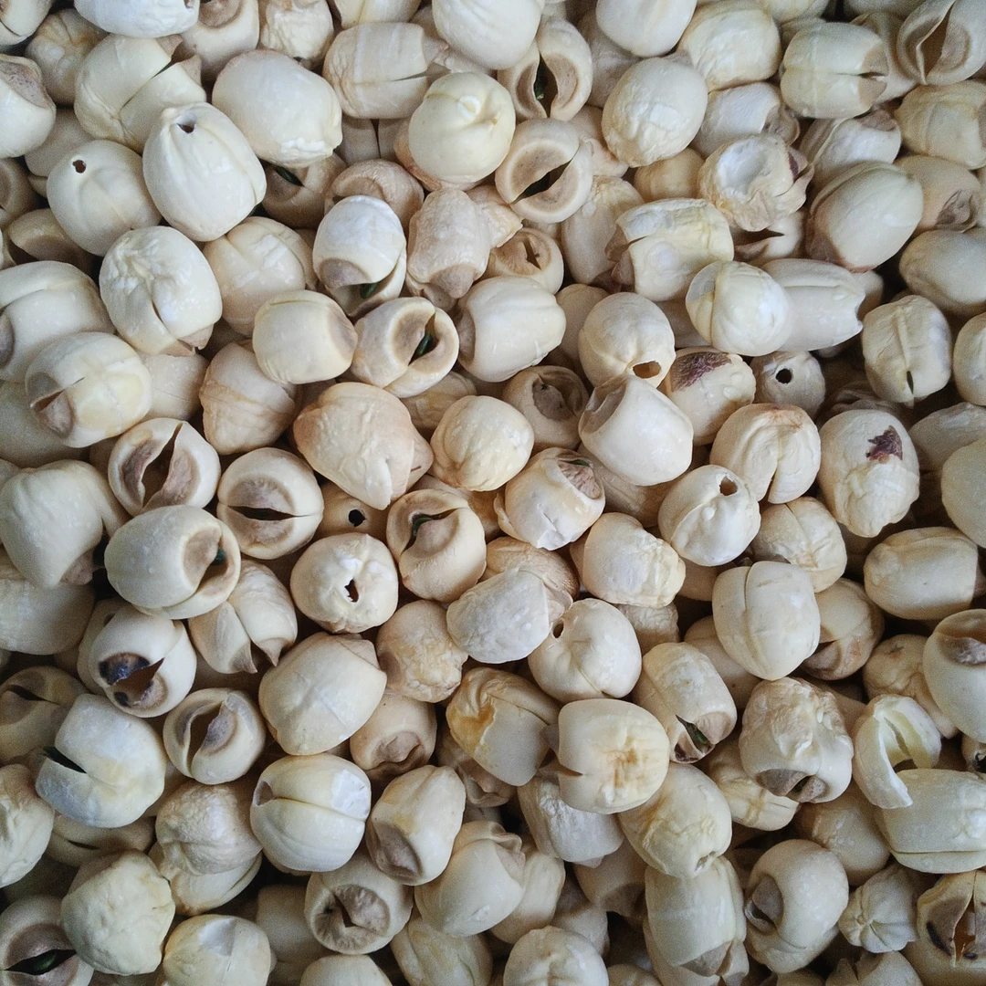 佤乡山货推荐【活水莲子】山货特产干货