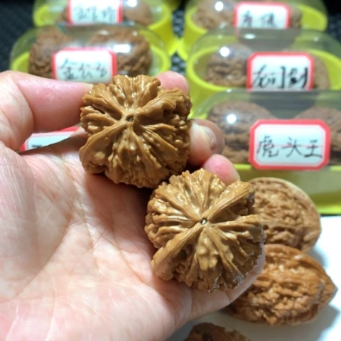 吊坠文玩核桃﹎****﹎蚂蚁王