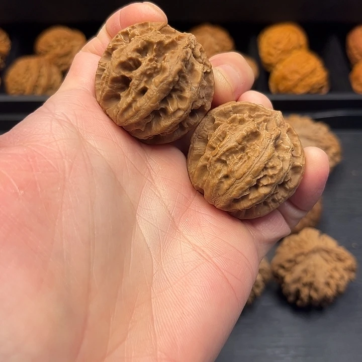 大叶紫檀（黑酸枝木类）