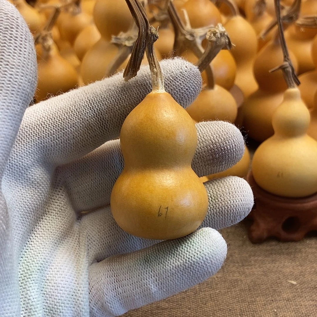 文玩葫芦 完美主义者 慎拍67