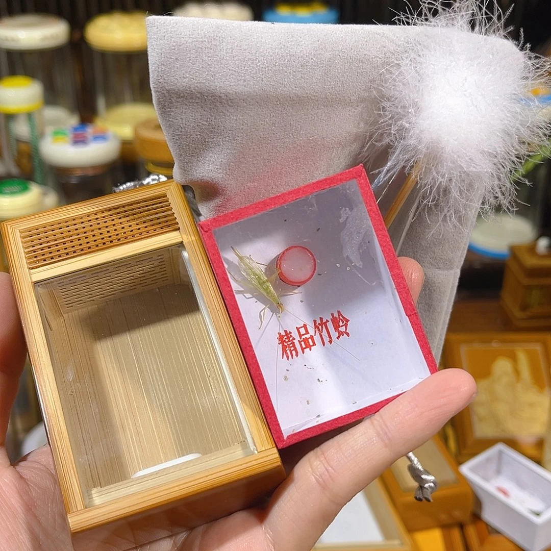 蟋蟀老竹竹蛉盒+竹蛉+过虫器+布套