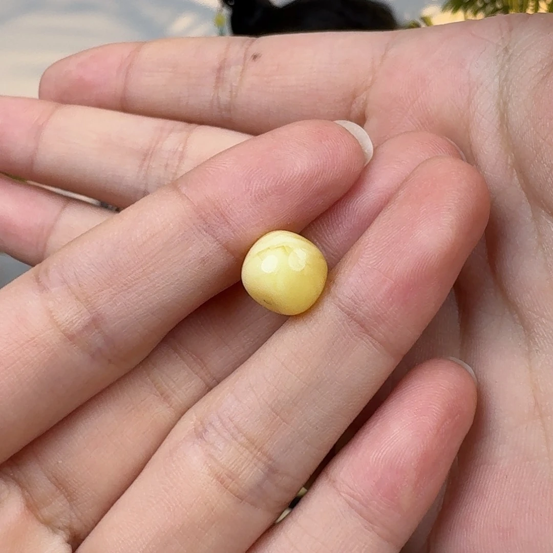 蜜蜡未镶嵌珠宝奇石多样性发一