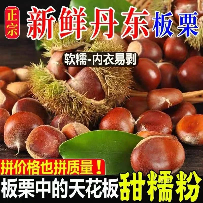 【买4斤送1斤】新鲜生板栗大果甘甜清脆非油栗子坏果包赔