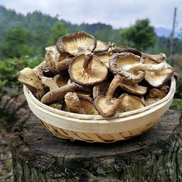 香信菇农家大集现收下山