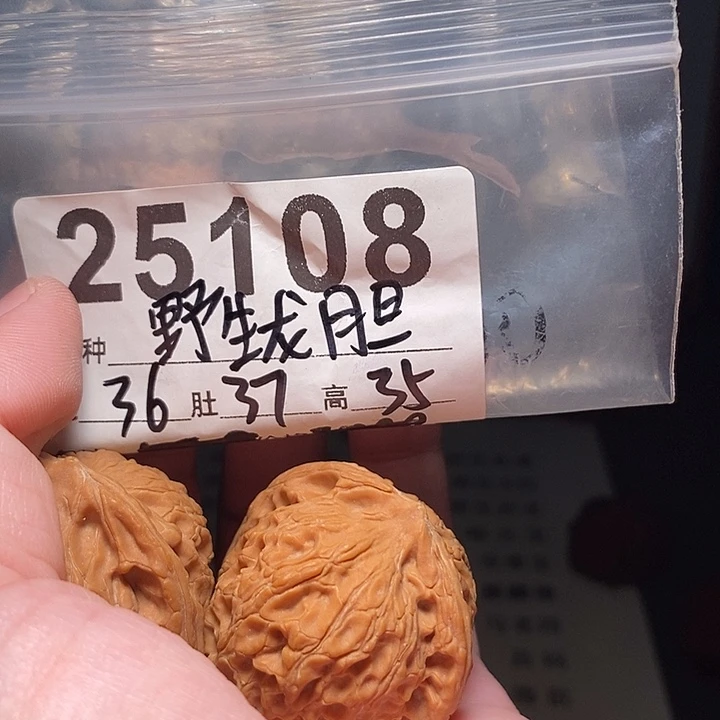 饞***豆吊坠文玩核桃文玩核桃把件