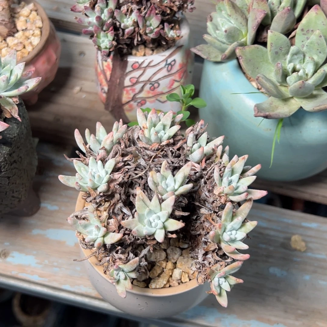 4306哈哈哈哈哈哈哈哈