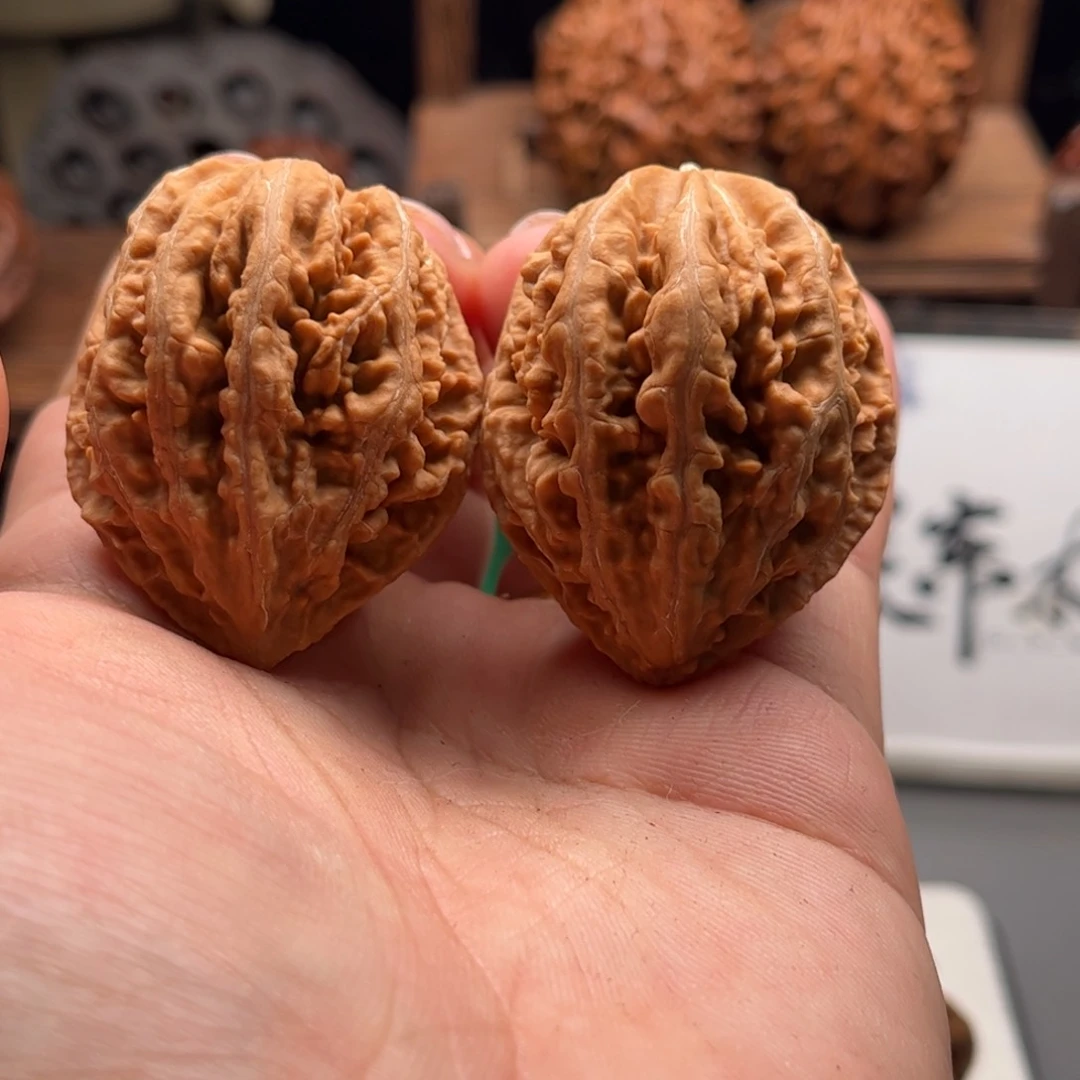 文玩核桃把件关东木子家楸大胖30