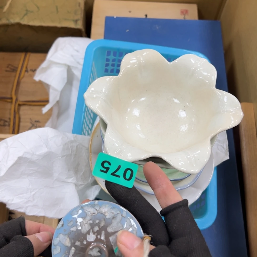 碗阳*福哈哈哈哈哈哈哈哈