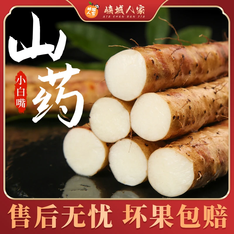 【峡城人家】河北小白嘴山药4.5斤约5-13根
