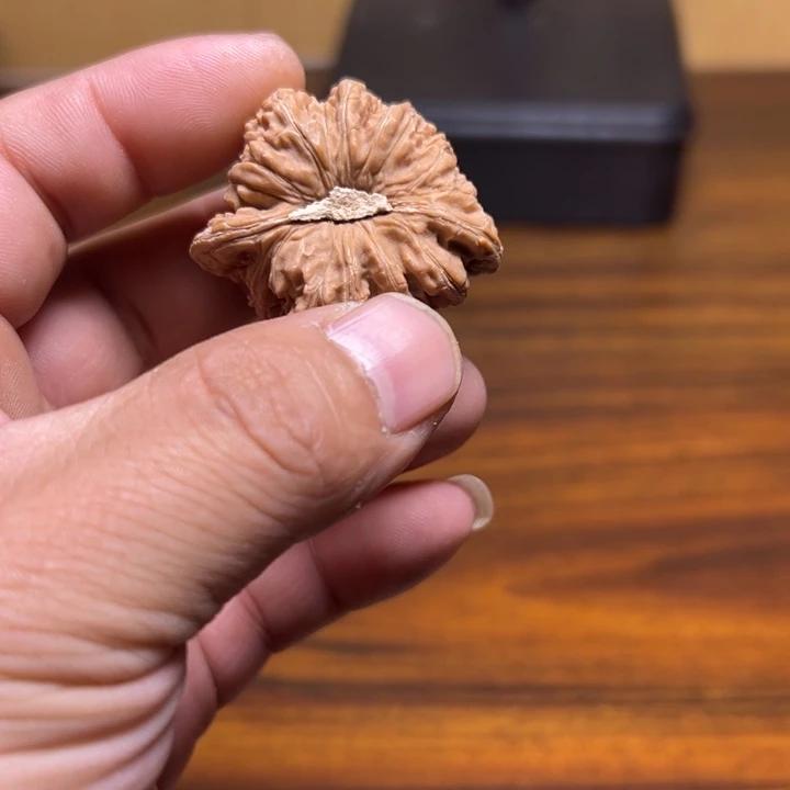 文玩核桃把件密纹