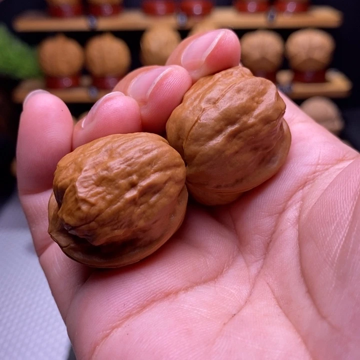 核桃云铁甲壳虫38号