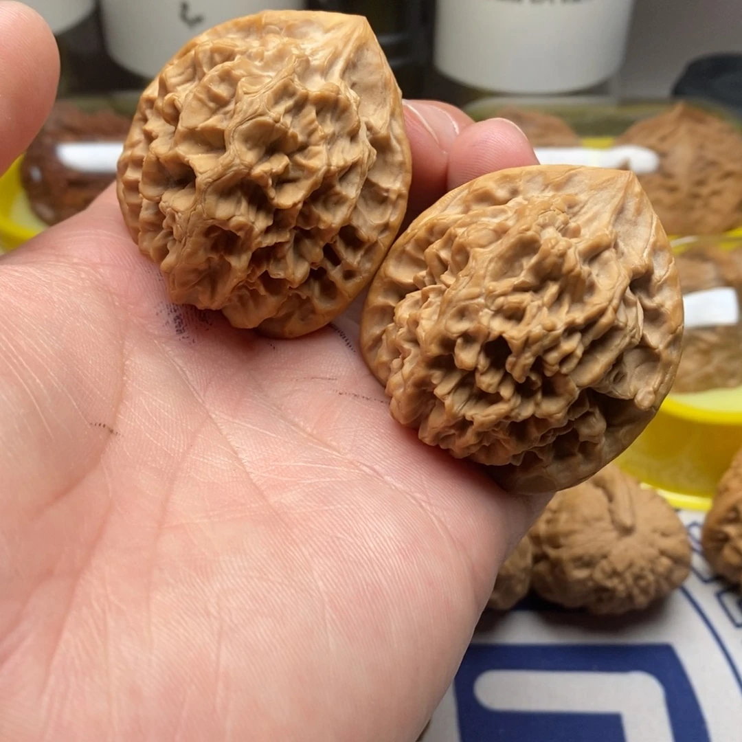 核桃把件在*秦岭核桃龙脊