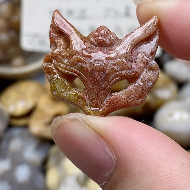 硅化珊瑚（珊瑚玉）未镶嵌颈饰小