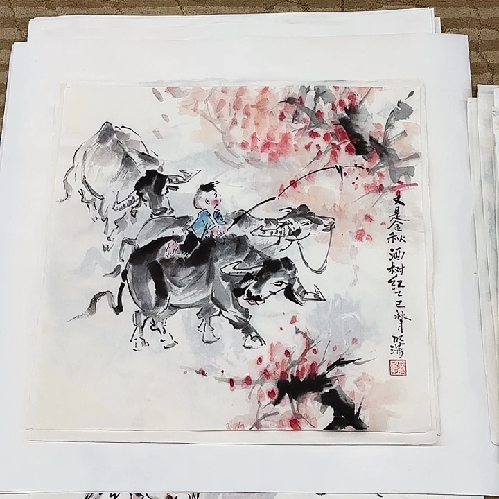 V***s国画花鸟等多种鸟类的栖息地