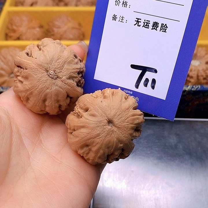 乾***财文玩核桃把件文玩核桃霸王龙11