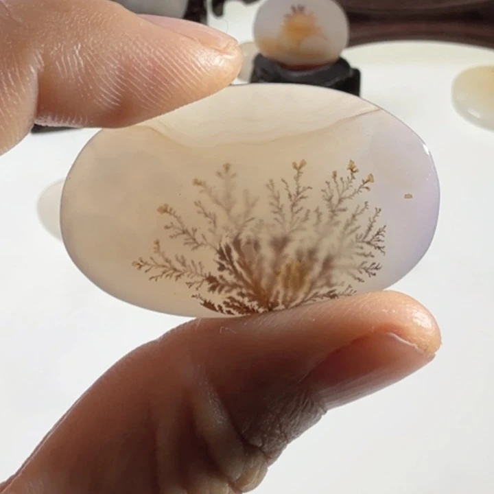 足银镀金镶嵌玛瑙/玉髓珠宝半成品