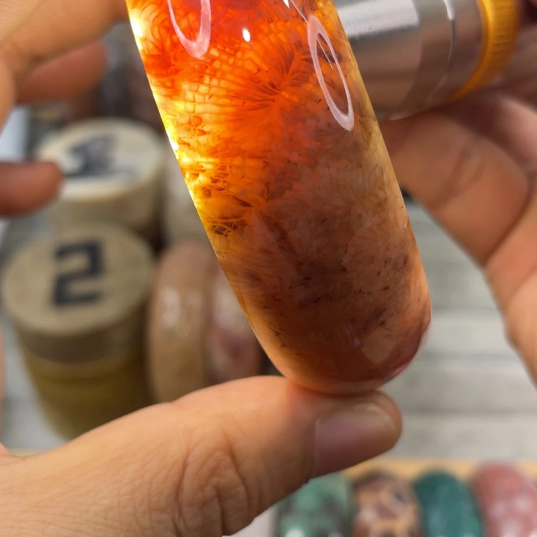 未镶嵌手镯硅化玉